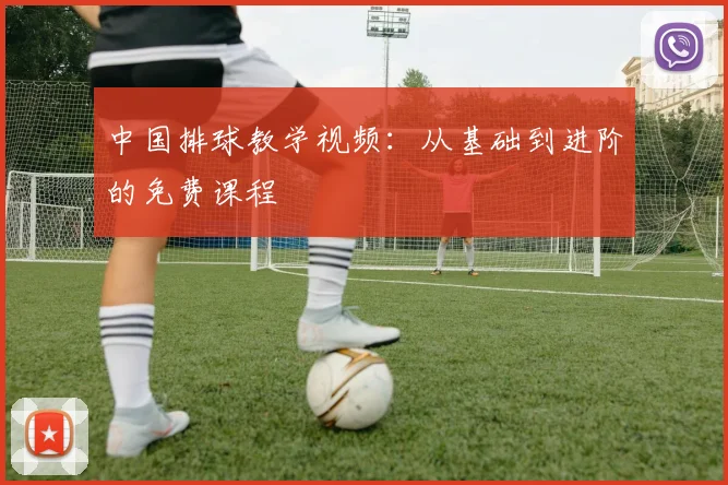 中国排球教学视频：从基础到进阶的免费课程
