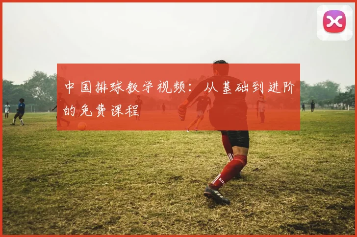 中国排球教学视频：从基础到进阶的免费课程