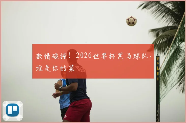 激情碰撞！2026世界杯黑马球队，谁是你的菜
