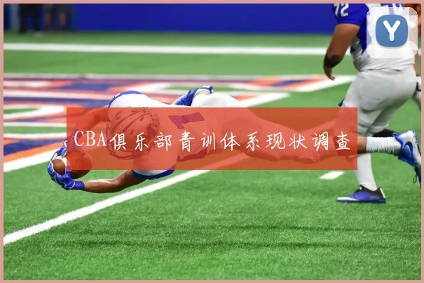 CBA俱乐部青训体系现状调查
